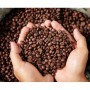 Café en grains Bio 1kg